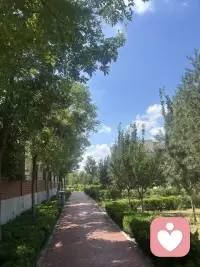 假期正式開始嘍，我一直在這里等你配圖