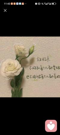 心有所期
就全力以赴
前半生不怕
后半生不悔！