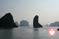 白天归顺生活，夜晚臣服灵魂，那些无人诉说的心事，就交给我这个安全的树洞，我会陪你一起，梳理那些纠缠的思绪