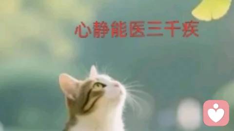 親測(cè)有效,緩解抑郁失眠