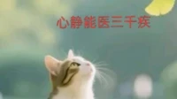 親測有效，緩解抑郁失眠