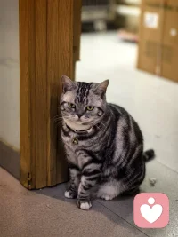 人生第一課沒有人會真正的愛你
人生第二課你并沒有那么多觀眾
人生第三課任何關系走到最后，都不過是相識一場
人生第四課接受自己的平庸，但永遠不會停止努力
人生第五課所有的一切都是最好的安排，都是在教會你些什么
人生第六課勇敢的人先享受這個世界
人生第七課得到未必是福，失去未必是禍
人生第八課學會拒絕跟著自己的心走
人第九課不要介入他人的因果
人生第十課愛人先愛己，你永遠是自己最大的靠山，而非他人配圖