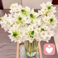 未來如何，
我們無法掌控；
當下此刻，
我們卻可以真真實實地觸摸。
與其死磕一個結果，
不如把結果交給時間。
用等一朵花開的心情去過每一天，
未來才會有意想不到的驚喜在等待著你。配圖