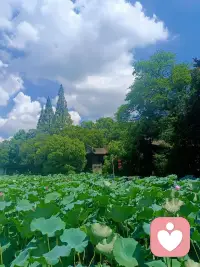 人在脆弱的時候，可能會經歷各種負面情緒，如焦慮、沮喪甚至憤怒。有時需要一個出口來釋放這些壓力。陪伴提供了一個安全的環境，允許我們更自由地表達內心的感受、擔憂和恐懼。傾訴本身就能帶來釋放，傾聽則是最好的支持之一，有助于安撫心靈，讓情緒得到宣泄和舒緩。配圖