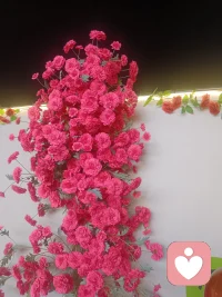 每個人的存在是獨一無二的，每個人不同的喜好，是與世界對話的獨特方式，不必用他人的標尺，修剪自己的模樣，勇敢活成讓自己舒服的樣子，就是最耀眼光。