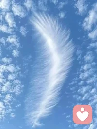 每一個偉大的心靈，都曾在苦難中蹉跎，卻從未放棄。世上只有一種英雄主義，就是在認清生活真相之后依然熱愛生活。配圖