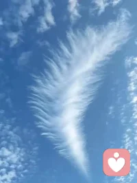 不強求完美，可以不萬丈光芒，但從不停止發光配圖