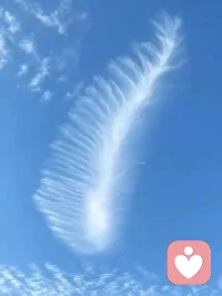 貪嗔癡：像擾亂生活的“三大情緒小偷，要怎么應(yīng)對(duì)呢， 
應(yīng)對(duì)貪：比如，看到想要的非必需品時(shí)，先問(wèn)自己“這是‘需要’還是‘想要’”，給欲望留10分鐘冷靜期，多數(shù)時(shí)候“想要”會(huì)隨時(shí)間淡化。
?應(yīng)對(duì)嗔：被冒犯時(shí)先做3次深呼吸，把到嘴邊的指責(zé)換成“我有點(diǎn)生氣，因?yàn)椤保苊馇榫w沖昏理智。
?應(yīng)對(duì)癡：比如總刷手機(jī)熬夜，可在床頭貼張“熬夜后的疲憊清單”，用具體后果替代模糊的“知道不好”，強(qiáng)化清醒認(rèn)知。配圖