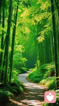 山為孤獨的靈魂提供了一個療愈的場域。
它不言不語，卻仿佛在說：“我懂你的沉默，我接納你的全部。你盡管來，我在這里陪你。”
山為你提供了一條清晰可見的路徑：從山腳到山頂。這是一個純粹、不摻雜質的目標。
在復雜的人際關系和社會中，我們常常感到迷茫，付出與回報不成正比。
但在爬山時，你付出的每一步努力，都會讓你離目標更近一點。
這種簡單直接的因果邏輯，能給混亂的內心帶來一種難得的秩序感和掌控感。
孤獨常常伴隨著一種“與他人格格不入”的感覺。而山，它就在那里，靜默地接納一切。
它不會問你為什么獨自前來，不會對你的情緒評頭論足。你可以盡情沉默，可以對著山谷吶喊，它都以同樣的風和回聲回應。
這種“無條件的接納”，對于一顆孤獨的心來說，是一種極致的慰藉。配圖