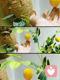 改变之后的和好，才是重新开始
解决问题之后的和好，叫重归于好
既不解决问题又不改变的和好，是重蹈覆辙
你在关系里是哪一种☞我先说♥3️⃣配图