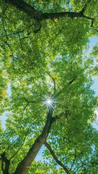 没有人能够随随便便成功，活出自己的真心英雄