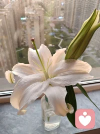 學會擁抱不完美的自己！配圖