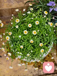 用生命影响生命，自己有的，才能给到别人，家长也一样，自己好了，孩子差不了配图