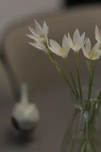 茶要泡开，人要想开，格局大了，人就顺了🌹