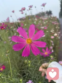 治愈系??