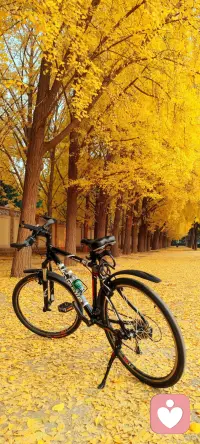 學會愛你自己，你最珍貴，值得所有溫柔以待。
別總把“為別人好”當作人生準則，你眼底的星光、疲憊時的呼吸，都該被認真珍視。
不必為了迎合而磨平棱角，不用因他人評價否定自我。
 
晨起給自己煮碗熱粥，睡前夸夸今天努力的自己，允許偶爾偷懶，接納所有不完美。
你是這世間獨一無二的存在，先學會擁抱自己，才能擁有照亮生活的力量！配圖