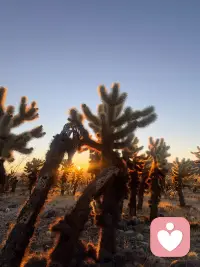 坦然接受快樂、害怕、緊張、興奮……
都是人性化的！
你的自我就能夠得到成長……