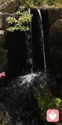 難過的時候就想想：生活對不起我的浪漫、我的赤誠、我的溫暖與明亮……
該難過的一定不是我，生活應該慚愧????