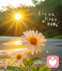 以自省豐盈內心，
以勇氣奔赴前路，
以熱愛對抗迷茫，
日日精進、步步堅定，
活成自帶光芒的模樣……