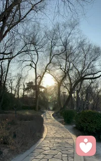 雪大概是被云拉住啦，今天沒準時赴約……
不過煮了杯熱可可，看陽光在杯子上跳了一下午，突然覺得“等雪”的日子，也藏著慢慢的溫柔。
沒關系，該來的總會來的，我先把冬天的小愜意攢好……