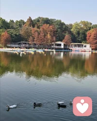 雪大概是被云拉住啦，今天沒準時赴約……
不過煮了杯熱可可，看陽光在杯子上跳了一下午，突然覺得“等雪”的日子，也藏著慢慢的溫柔。
沒關系，該來的總會來的，我先把冬天的小愜意攢好……