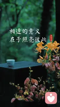 最好的关系,
不是形影不离,
而是各自精彩，
又互相照耀❤️