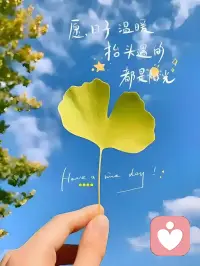 心怀希望，如同手握阳光，无论身处何种境遇，都能照亮前行的道路。
正能量源自内心，它让我们相信，美好终将到来，只要我们始终相信且热爱。🌹🌹