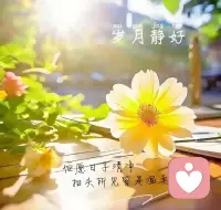 努力的意義是為了更自由的選擇生活，積攢面對未知的底氣，讓情緒不決堤，節奏不慌亂。
默默成長，保持晴朗，用最喜歡的狀態過好每天??配圖