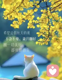 当一段关系带来的消耗，远远大于滋养，选择停下并不是懦弱。
这不是否定过往全部的付出，而是明白，比起紧紧抓住，放过自己更为重要。
不必执着一个圆满结局，善待自身才是最终的归宿。