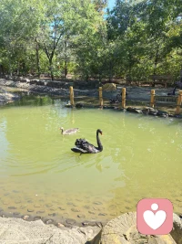 人生就像是一場旅行，在乎的不是目的地，而是沿途的風景和看風景的心情。每天保持好心情，有著正能量的心態，有一顆包容萬物，豁達的心靈，接納自己，與自己和解，你就有了與萬物和解的能力！配圖