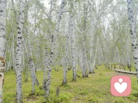 ，佛學說：“人們看見的一切都是幻象”；心理學說：“一切都是人內心的投射”；哲學說：“認識自己，就是認識世界”；王陽明說：“心外無理，心外無物。”

以上這些說法，說的其實都是同一件事情：

“自己是一個什么的人，就感受到一個什么樣的世界。”

也可以這樣來描述：“人只能活在自己的認知范圍以內，只能感受到自己認知范圍以內的世界。”

還可以這樣來描述：“自己感受到的一切，都是自己的心智所造。”配圖