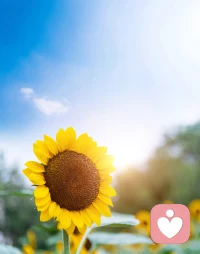 🌙早安语2025 年 9 月 23日：
你生来就是高山，而非草芥！

⛰️ 高山昂然立于天地之间，任风雨洗礼，岁月更迭，始终坚守自身的高度与尊严。
🌿 草芥虽有顽强生命，却只能随风摇摆，任人踩踏。

亲爱的，
你生来就不是草芥，而是高山。
你有自己的价值与高度，不必自我贬低，不必随波逐流。

💪 志向的力量是无穷的。
当你心怀高山的志气，
即便遇到挫折，也能咬牙走下去。
“古之立大事者，不惟有超世之才，亦必有坚忍不拔之志。”
真正的强者，不是没跌倒过，而是一次次在困境中站起来。

📚 学习，是你成长的根；
🔥 磨砺，是你变强的火；
🌸 每一次的挫折，都是在帮你雕琢；
⛏️ 每一次的困境，都是在为你铺路。

“宝剑锋从磨砺出，梅花香自苦寒来。”
所以别害怕低谷，它正是你成山的必经之路。

佛经说：“众生皆有佛性，皆可成佛。”
同样，你也都具备成为高山的潜质。
只要坚定信念，不懈努力，
终能如高山般雄伟壮阔，
用胸怀与气魄去迎接人生的挑战。

✨ 所以亲爱的，
别小看自己。
你不是随风而动的草芥，
你是注定要昂然挺立的高山。
当你守住内心的信念，
就会发现风雨来时，
你依旧能安然无恙，
俯瞰万物，自成天地。

愿你能带着高山般的坚定与力量，去迎接每一天，
祝福共勉
早安吉祥