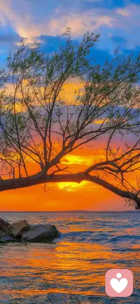 ✨ 今天，我想和你聊聊“追求完美”这件事。
 
 你是不是也听过这样的声音：
写一篇文章，落笔就想一鸣惊人；
做一个方案，开始就要无懈可击；
做一件事情，容不得半点瑕疵。
 
 于是，你开始在心里问老天：
“我可以吗？”
“我准备好了吗？”
“现在是不是最好的时机？”
 
 而老天沉默不语，甚至可能翻了个白眼：
“别废话，先干再说！”
 
 ✨ 你忘记了最简单的真理：量变到质变
没有大量的行动，没有一次次的试错，
你怎么会有成长？
没有痛苦的跌倒，你怎么会觉醒？
 
 那些真正厉害的人，
从不追求一开始的完美。
他们只知道，
粗糙是最好的开始，
完美是自我的暴力。
 
 ✨ 你还在等什么？
你问自己：
“我在等什么？”
“我在等一个机会。”
但事实是，
机会不会等你，
时间也不会停下。
 
趁着你还折腾得动，
趁着你还有一腔热血，
早行动，早反思，早升级，早拿结果。
等到老了，就真的搞不动了。
 
 ✨ 送你三句万能咒语
1️⃣ 粗糙是最好的开始
别等万事俱备，先迈出第一步。
哪怕是蹒跚学步，也胜过站在原地。
 
2️⃣ 完美是自我的暴力
追求完美不是美德，
是自我折磨的借口。
先完成，再完美，才是正道。
 
3️⃣ 当下是最高的利益
别想着明天，别念着未来，
把当下做好，就是对未来最好的投资。
 
✨ 行动指南
1️⃣ 写下你一直想做但害怕失败的事情。
2️⃣ 问自己：最坏的结果是什么？我能承受吗？
3️⃣ 大声对自己说三遍：
“先干再说！”
 
愿你放下“完美”的枷锁，
明天醒来，像一头觉醒的狮子，
冲向那个你从未到达的远方。
 
 毕竟，这个世界的规则很简单：
行动者得天下，空想者空叹息。配图