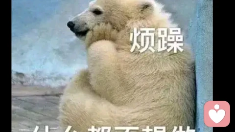 “我什么都不想做”：当你失去所有动力时，请先别责怪自己