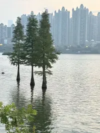 我们总在找‘被理解’的感觉，后来发现：先试着理解自己的那一刻，最踏实。