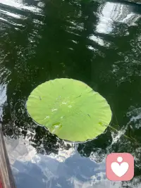 每天給自己一點(diǎn)安靜時(shí)間，只屬于自己，放下手機(jī)、放下工作，任由思緒飛揚(yáng)，或許會(huì)嘴角上揚(yáng)、或許會(huì)眉頭微皺，不管怎樣，想到的一定是對(duì)你意義非凡的事情，記住那種感覺(jué)，那是你最真實(shí)的感受。配圖