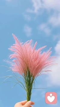“人就像寒冬里的刺猬，互相靠得太近，會覺得刺痛；離得太遠，又覺得寒冷；人必須保持適當的距離才能過活。”配圖