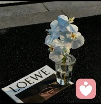焦虑缓解的一些方法供参考
1、患有焦虑症的人，要多多睡觉，有的人心理压力太大，晚上睡不好多梦。这种情况可以在中午或者下午小睡片刻，时间为1小时左右即可。适当补充睡眠，自己的情绪也会跟着好很多。

2、患有焦虑症的人，不要经常自醒，不要一直去思考做自己哪里做错了，这样容易给自己造成极大的心理负担，造成比较大的心理压力。学会适当摆烂，有人指责你当面指责回去，适当宣发自己的负面情绪。

3、患有焦虑症的人，放下耳机，不要把自己“困”起来。摘下耳机出去逛逛，可以选择晴天去公园小坐片刻，去街道逛逛买点小吃，找个可以坐的路边慢慢吹着风吃下东西。给自己的心情减个压，吸收吸收“人气”，感受感受大自然的阳光与微风~

4、患有焦虑症的人，适当哭泣，接纳自己的情绪，去表达发泄自己的情绪，而不是一直忍耐压抑，时间长了，人的心里就容易出问题。

5、患有焦虑症的人，学会“自我”。找出自己的节奏，有的时候不必要怕自己突兀，而强迫自己随大流。找到自己的节奏，告诉自己：“没关系，你可以慢慢往前走。”

6、患有焦虑症的人，少看垃圾信息与负面短视频。自己本就是一个焦虑，心态不良好的情况，再去刷一些散播抑郁、一些非常具有争吵性的视频，只会增加自己心中的淤堵感，让自己内心更加窒息，更加喘不过来气。关闭不必要的推送，减少各类咨询的推送与浏览