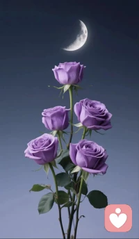 6個步驟教你如何接納情緒

01、識別情緒；
02、不做評判；
03、找觸發點；
04、允許存在；
05、深呼吸調節；
06、小步行動。配圖