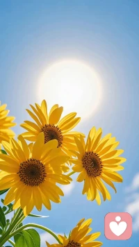 性格不是原生家庭注定的，而是?一個人一生中的修行。內心強大性格就會變得溫柔，精神松弛內心才會變得平靜，人最有魅力的時候，就是永遠有自己的節奏和目標，允許一切發生你將無所畏懼配圖