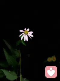 情緒的背后是需求
孩子鬧情緒，其實是未被滿足的心理需求 【開心】
可能是為了強化自我認同和當下幸福

【憤怒】
可能是為了自我保護而攻擊別人

【悲傷】
可能是為了得到同情安慰和幫助

【害怕】
可能是為了自我保護而回避危險

【得意】
可能是為了贏得欣賞和尊重

【嫉妒】
可能是為了找到自己真正想要的

【壓抑】
可能是為了獲得安全而拒絕沖突

【抱怨】
可能是為了被傾聽、理解和關(guān)注

孩子鬧脾氣，作為父母不應硬生生告訴他“別生氣了”、“別難過了”，而是去聽懂他的情緒，理解他真正想要什么

??面對生氣，不應一味讓孩子壓下去，而是傾聽他找到內(nèi)心想要被尊重的部分

??面對悲傷，不是掩飾，而是允許孩子來尋求支持

??面對害怕，不是責備孩子軟弱，而是給自己更多保護和鼓勵配圖