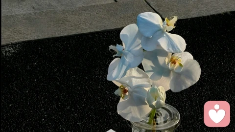 心理学有个词叫：情绪闪回（如果你因为一点小事就情绪崩溃，大概率不是 “玻璃心” 或 “想太多”，而是遭遇了情绪闪回）