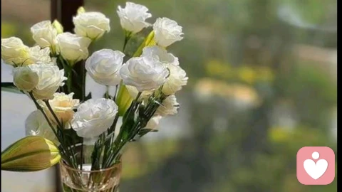 拖延不是懒,而是你内心悲伤太多了