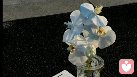 当妈妈困在创伤里女儿就成了“隐形人”