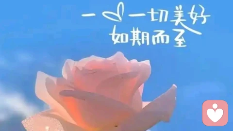 把自己放在第一位才是真正的心理健康