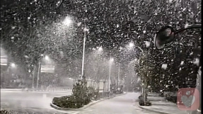 为什么说你的困境是你自己造成的？