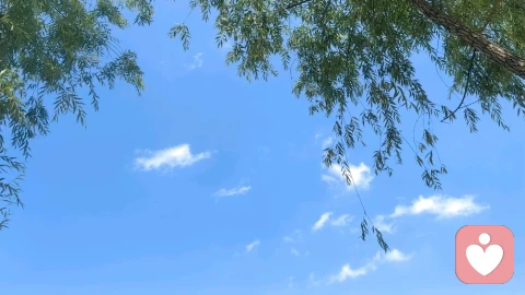 抑郁情绪与攻击逆转有关