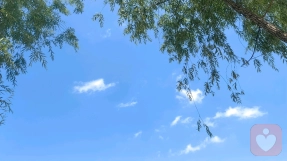 抑郁情绪与攻击逆转有关