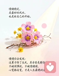 情绪稳定，是最好的风水，也是旺自己的开始。

慢慢你会发现：这辈子除了生死，其余皆是擦伤，不被琐事扰，不被情绪困，心宽路自宽，才是人生最稳的底气。