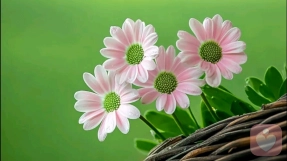 青春期——依赖和独立的心理矛盾